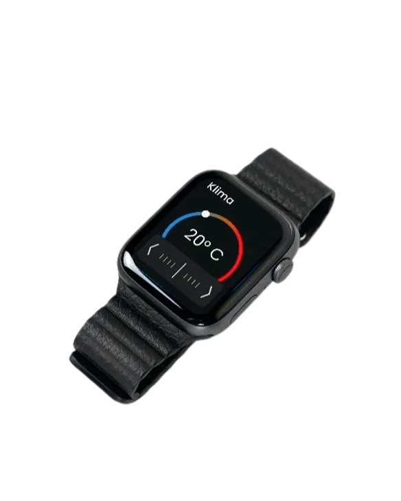 Fahrzeugstatus auf der Smartwatch
